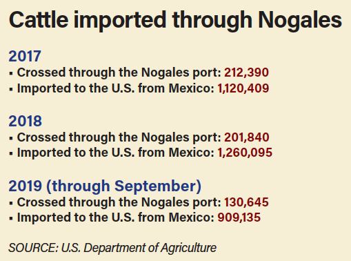 Cattle imports